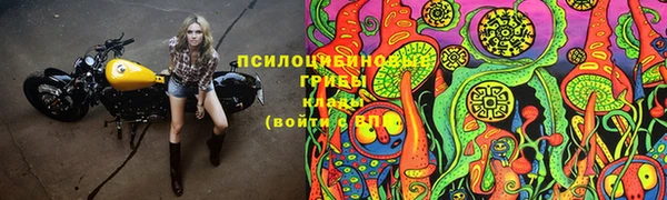 прущий лед Горняк